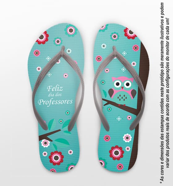 Chinelo Dia dos Professores Personalizado Coruja COD 9366