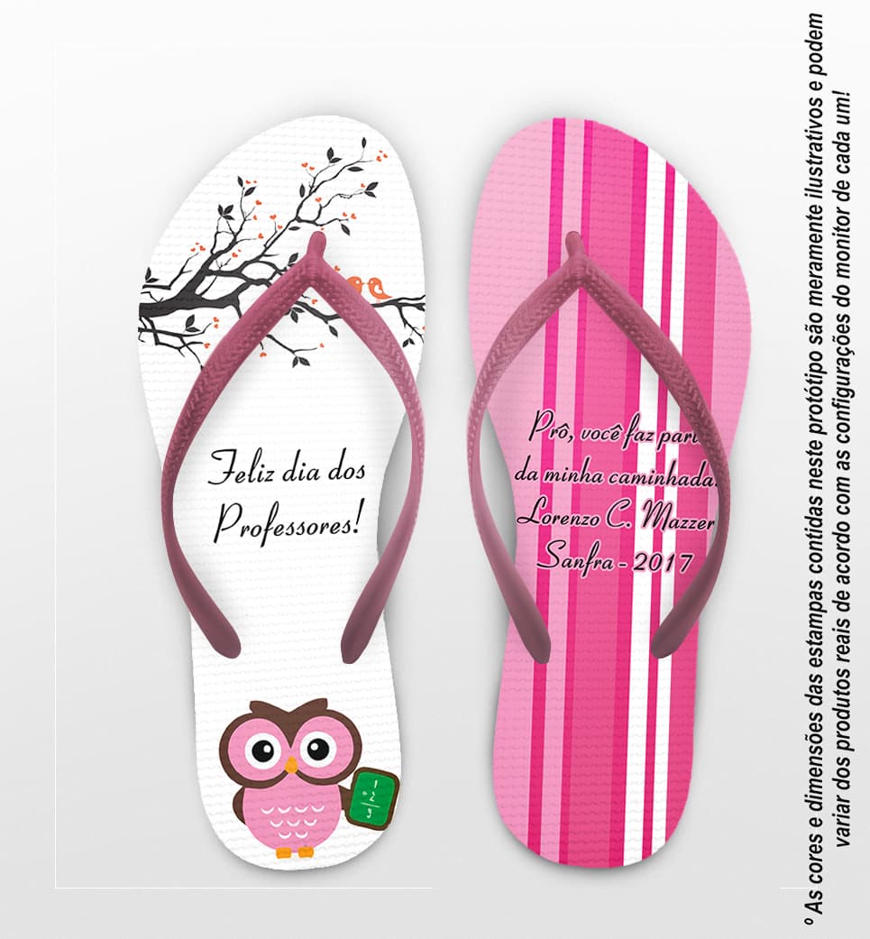 Chinelo Personalizado Dia dos Professores Rosa, Listrado com Corujas COD 6521