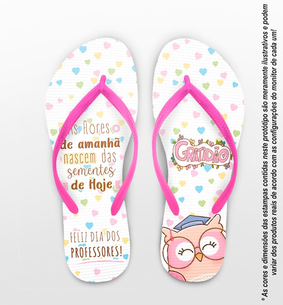 Chinelo Dia Dos Professores Coruja Personalizado COD 12502