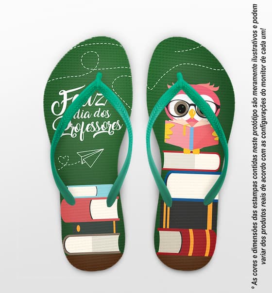 Chinelo Dia do Professor Livros Coruja COD 9785