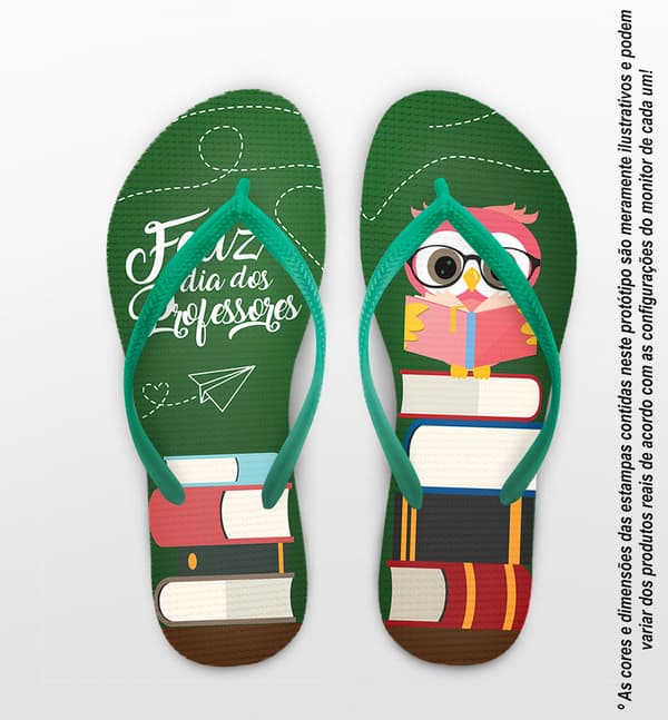 Chinelo Dia do Professor Livros Coruja COD 9785