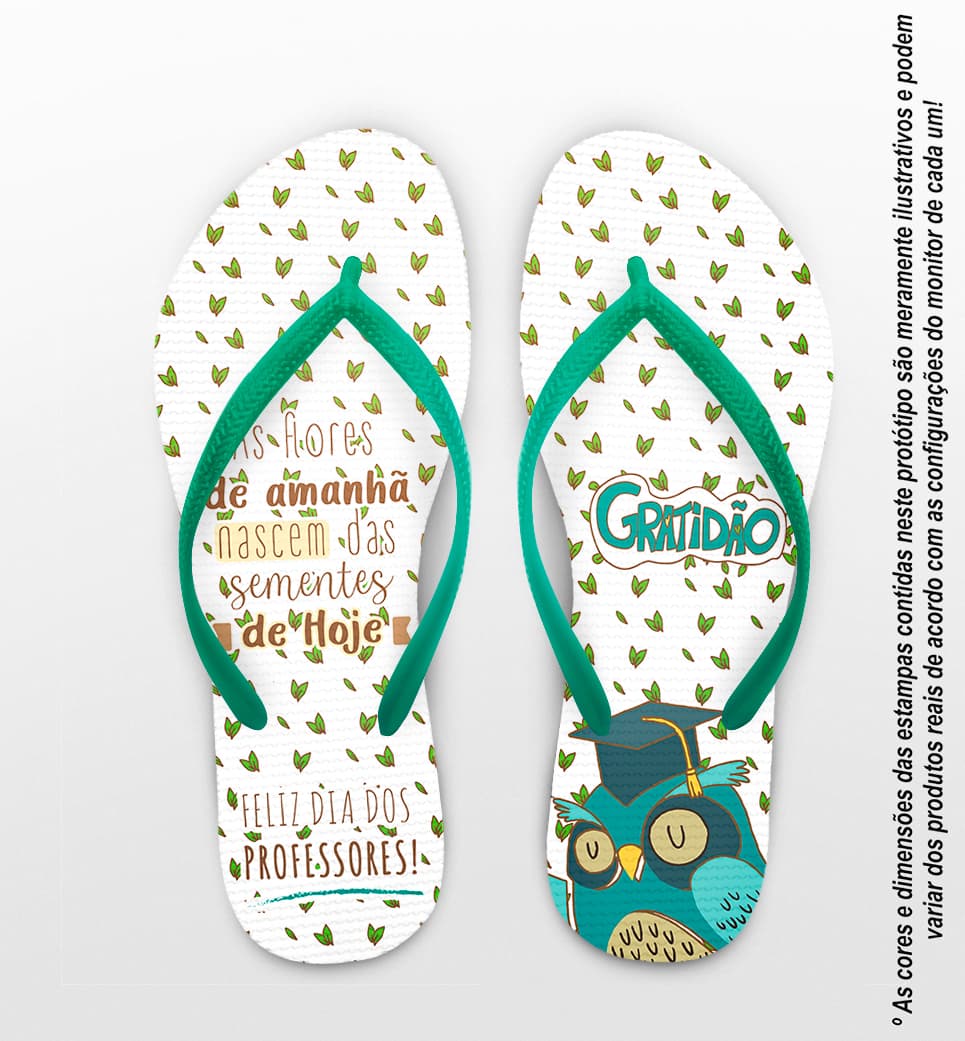 Chinelo Dia Dos Professores Coruja Personalizado COD 12493