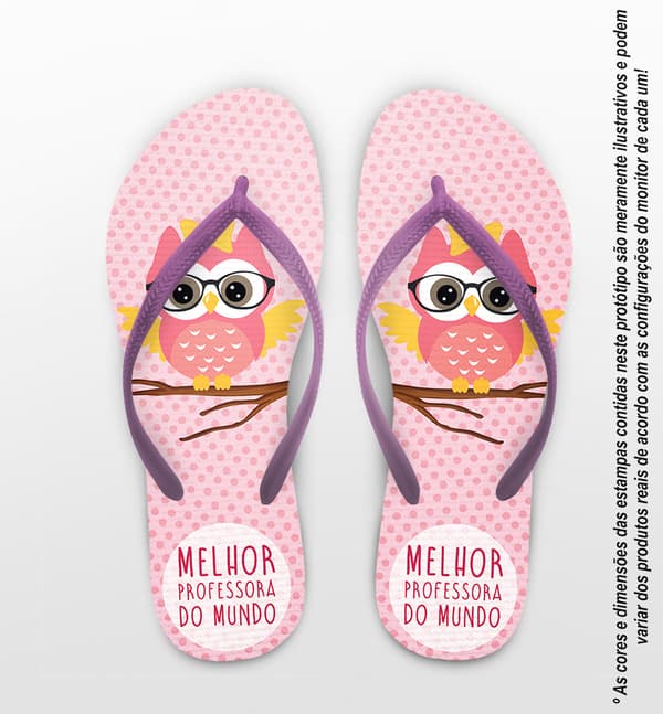 Chinelo Dia do Professor Melhor Corujinha COD 9788