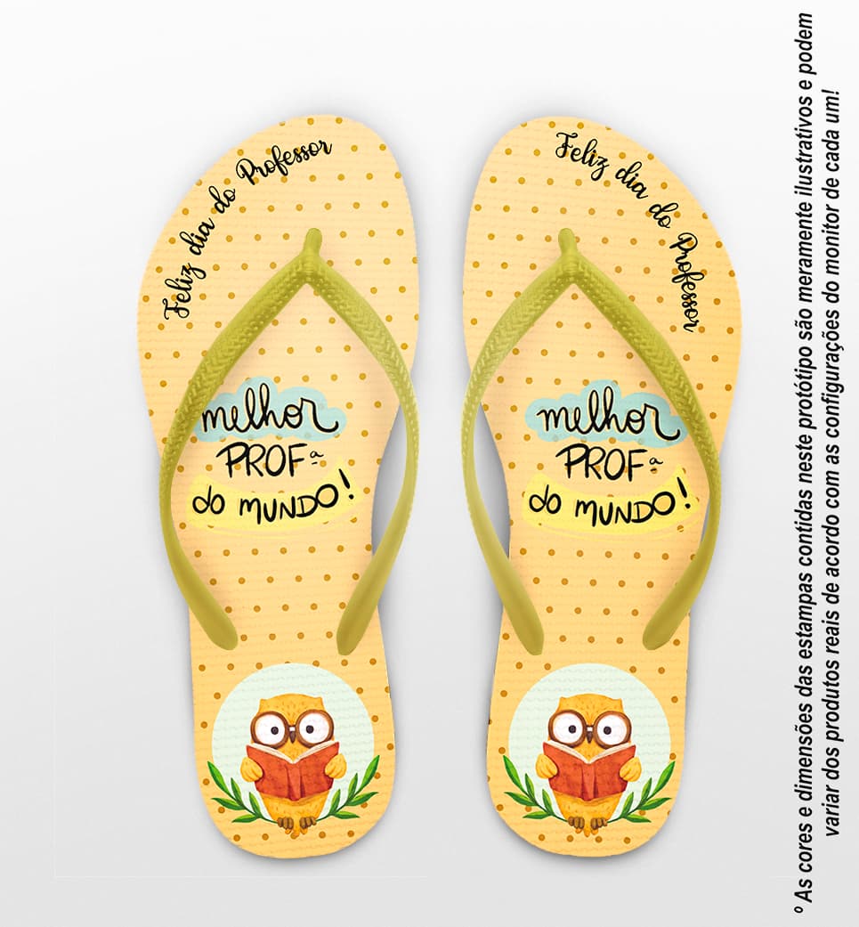 Chinelo Dia Dos Professores Coruja Personalizado COD 12492