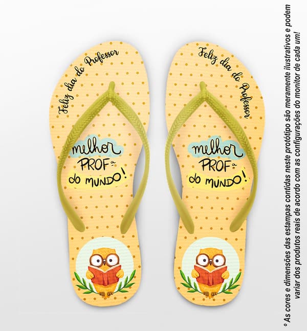 Chinelo Dia Dos Professores Coruja Personalizado COD 12492