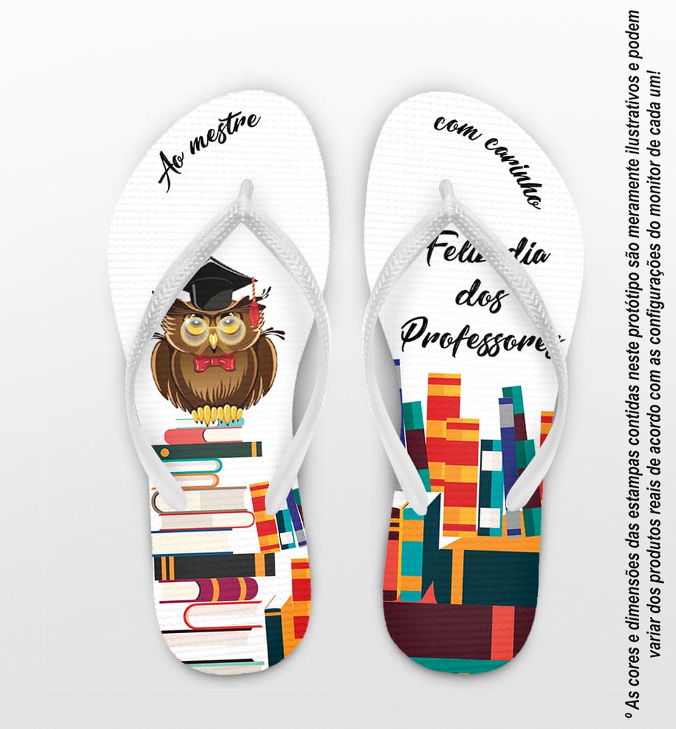 Chinelo Dia do Professor Coruja com Livros Personalizado COD 8006