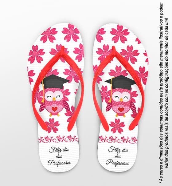 Chinelo Personalizado Dia dos Professores Coruja COD 6295