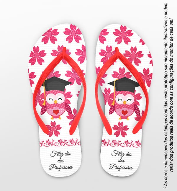 Chinelo Personalizado Dia dos Professores Coruja COD 6295