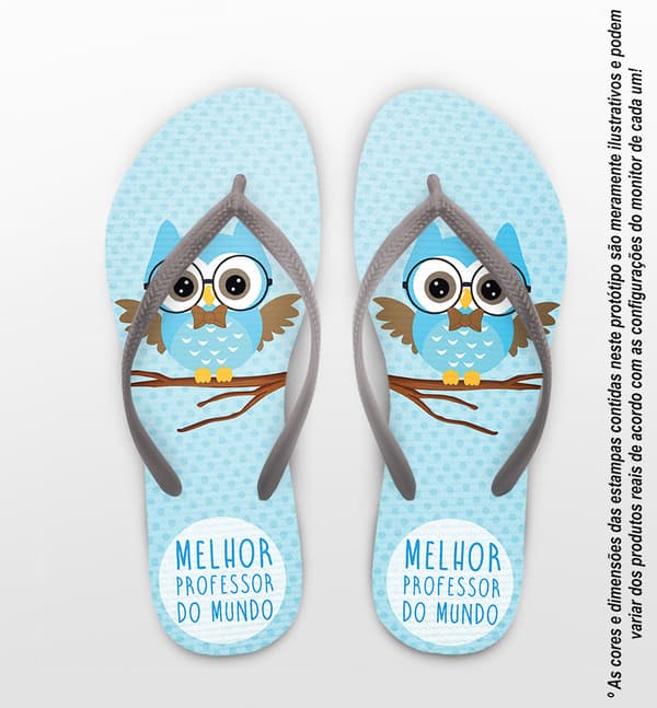 Chinelo Dia do Professor Melhor Corujinha COD 9789