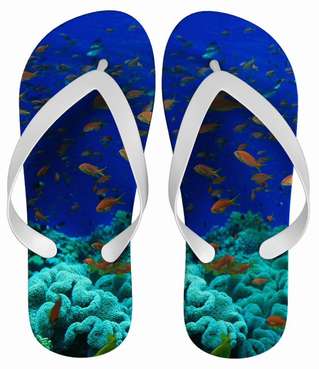 Chinelo Personalizado Paisagem Fundo do Mar - COD 1792