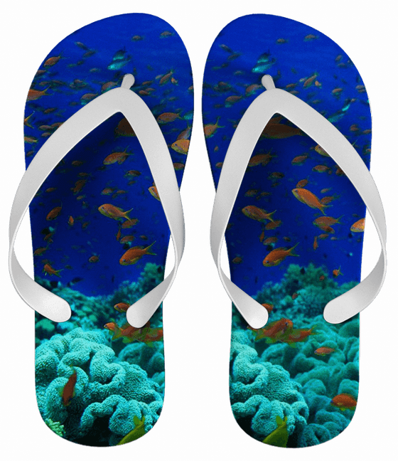 Chinelo Personalizado Paisagem Fundo do Mar - COD 1792