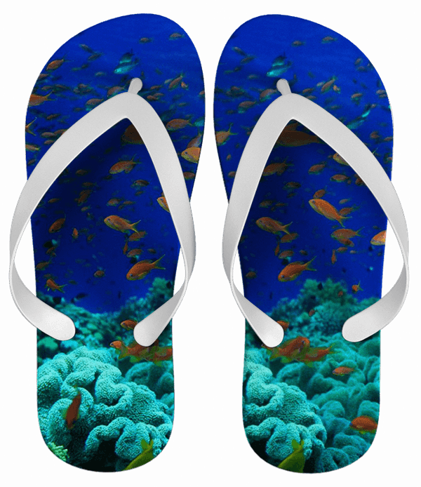 Chinelo Personalizado Paisagem Fundo do Mar - COD 1792