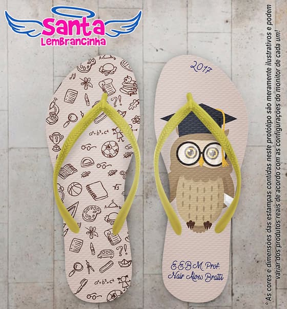 Chinelo Personalizado Dia dos Professores com Coruja COD 6529