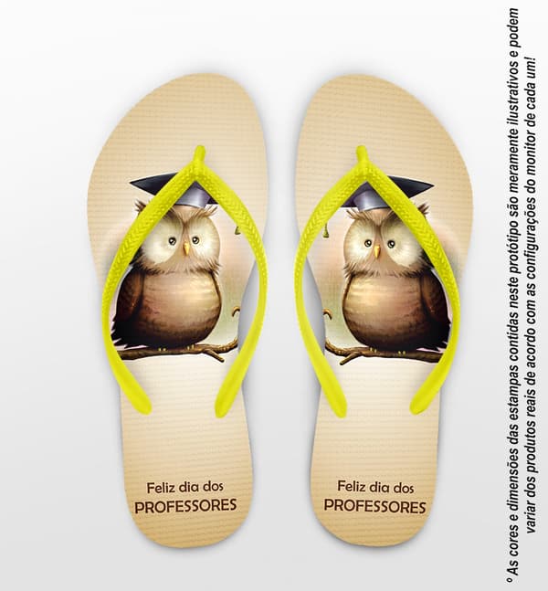 Chinelo Dia dos Professores Coruja, Personalizado - COD 2891