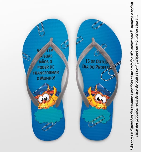 Chinelo Dia dos Professores Personalizado, Coruja Azul - COD 2910