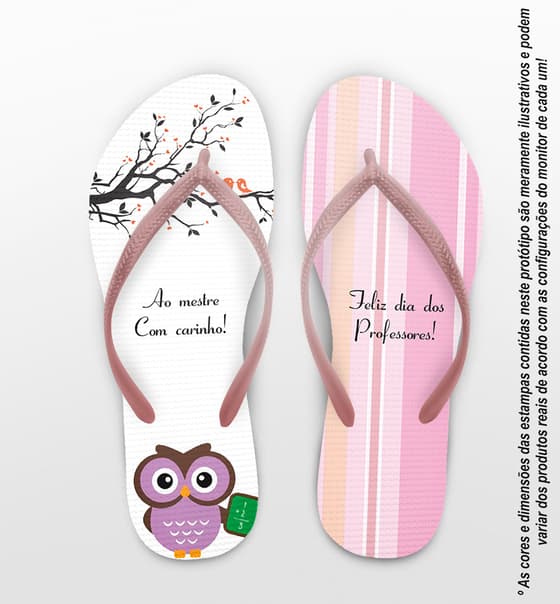 Chinelo Dia dos Professores Personalizado, Coruja Roxa com Listras - COD 2908