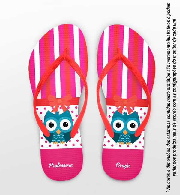 Chinelo Personalizado Dia dos Professores Listrado com Corujas COD 6201